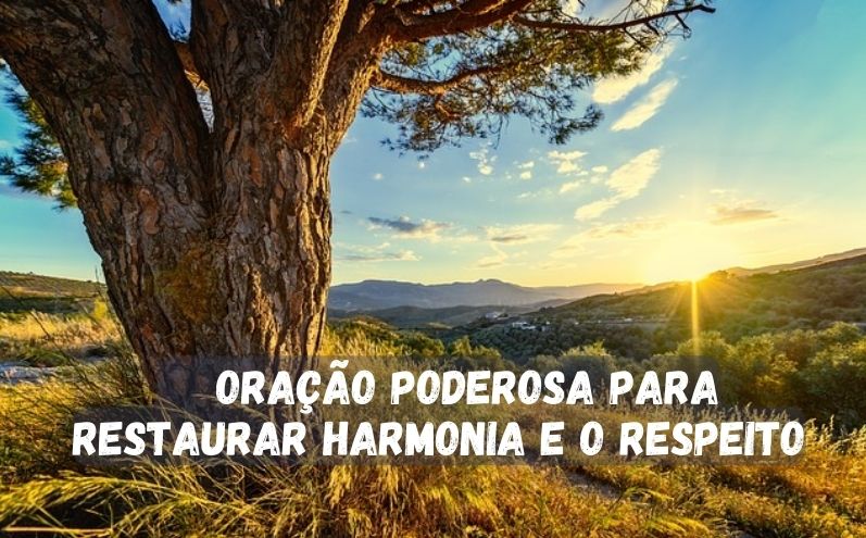 Oração Poderosa para Restaurar Harmonia e o Respeito